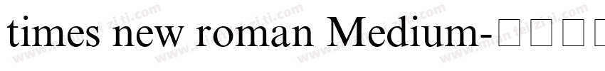 times new roman Medium字体转换